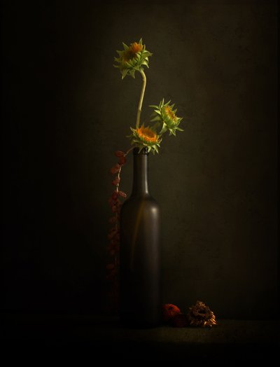 Stilleven met een stemmige zonnebloem door Margaret Halaby