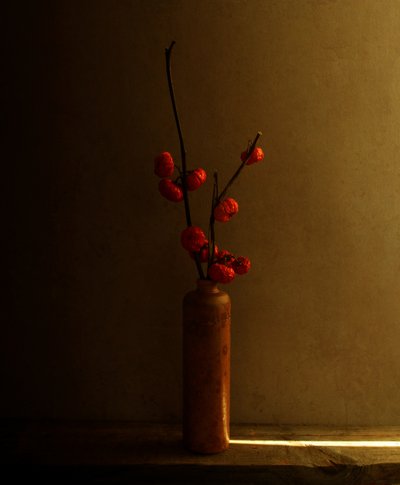  door Margaret Halaby