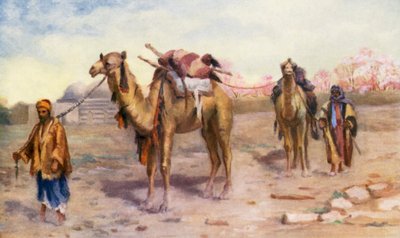 Kamelen en drijvers buiten Damascus door Margaret Thomas