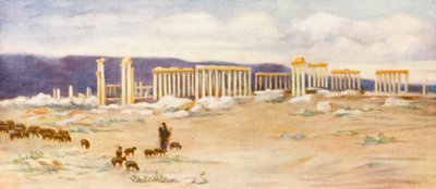 Algemeen Uitzicht op de Colonnade, Palmyra door Margaret Thomas