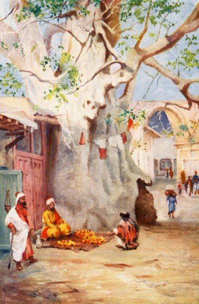 Grote Weegbree in de Bazaar, Damascus door Margaret Thomas