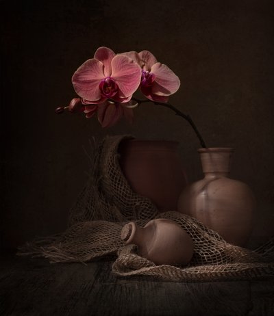 Stilleven met donkere orchidee door Margareth Perfoncio