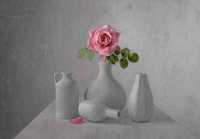 Stilleven met delicate roze roos door Margareth Perfoncio