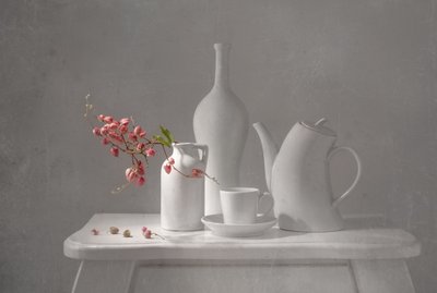 Delicaat roze stilleven door Margareth Perfoncio