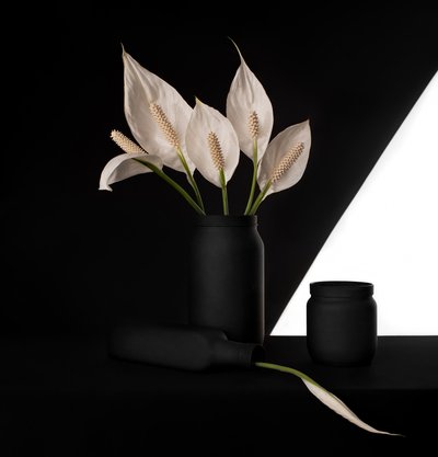 Elegante vredeslelie in contrasterende kleuren door Margareth Perfoncio