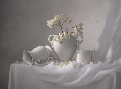 Elegant wit stilleven door Margareth Perfoncio