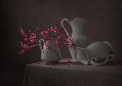 Roze bloemen en witte kannen door Margareth Perfoncio