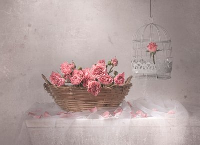 Roze rozen en een vogelkooi door Margareth Perfoncio
