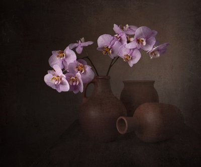 Stilleven met paarse orchidee door Margareth Perfoncio