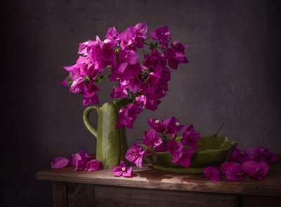 Levendig stilleven met bougainvillea door Margareth Perfoncio