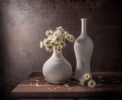 Stilleven met witte madeliefjes door Margareth Perfoncio