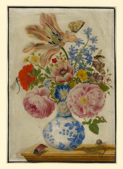  door Maria Sibylla Merian