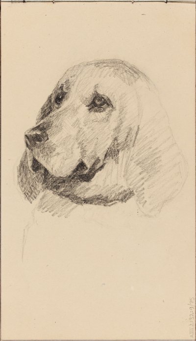Kop van een hond door Maria Wiik