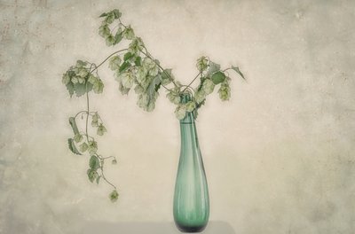 Stilleven met groene hop door Marie-anne Stas