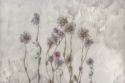 Zachte pastelkleurige bloemen door Marie-anne Stas