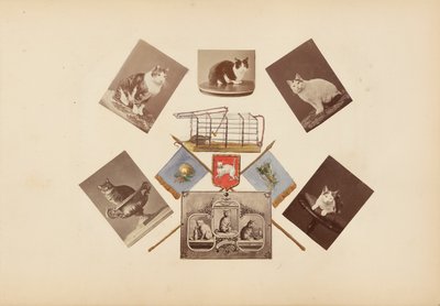 Het Madame B Album door Marie Blanche Hennelle Fournier
