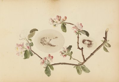 Het Madame B Album door Marie Blanche Hennelle Fournier