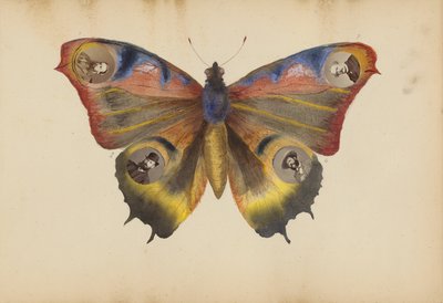 Het album van Madame B door Marie Blanche Hennelle Fournier