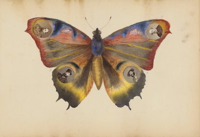 Het Madame B Album door Marie Blanche Hennelle Fournier