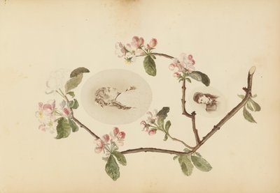 Het Madame B-album door Marie Blanche Hennelle Fournier