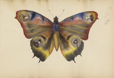 Het Madame B Album, 1870s door Marie Blanche Hennelle Fournier