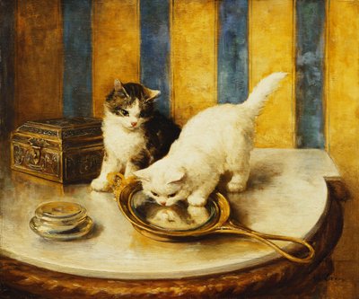 Feline Reflecties door Marie Yvonne Laur