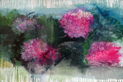 Hortensia