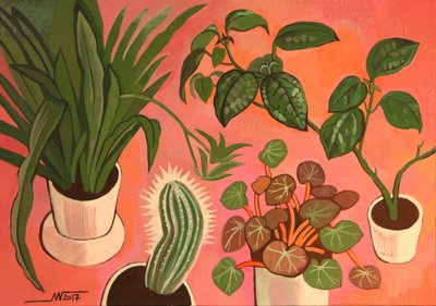 Kleurrijke potplanten door Marina Gorkaeva