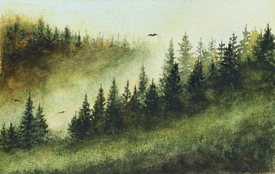Mistig groenblijvend bos door Marina Kozyr