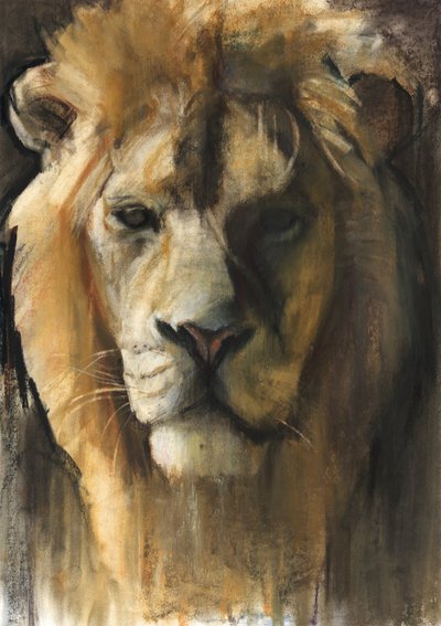 Aziatische leeuw, 2015, (pigment, pastel en conté op papier) door Mark Adlington