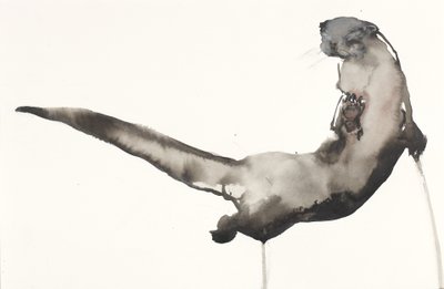 Terugspoelen (Otter) door Mark Adlington