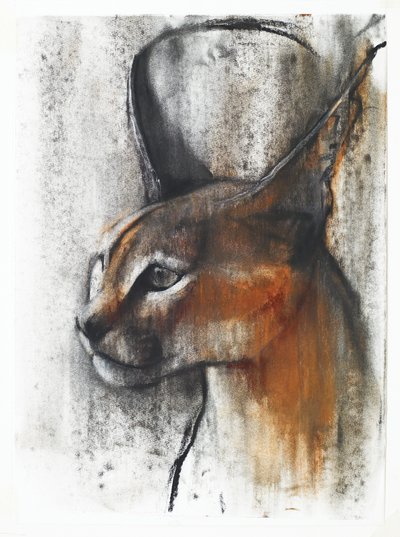 Egyptische (Arabische Caracal), 2009 door Mark Adlington