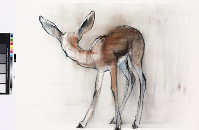 Gazellejong (Arabische Gazelle) door Mark Adlington