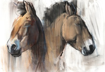 Hoofd Studie (Przewalski) 2012 door Mark Adlington