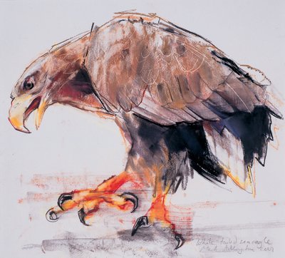 Raptor, 2001 door Mark Adlington