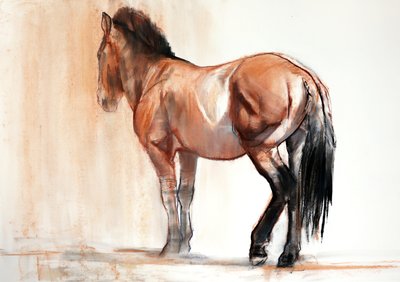 Stand (Przewalski), 2013 door Mark Adlington