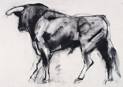 Toro Azul, studie door Mark Adlington