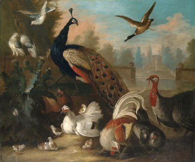 Een pauw en andere vogels in een sierlijk landschap door Marmaduke Cradock