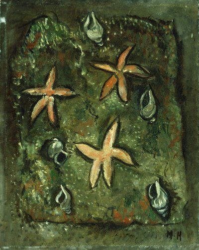 Zeesterren en Schelpen door Marsden Hartley