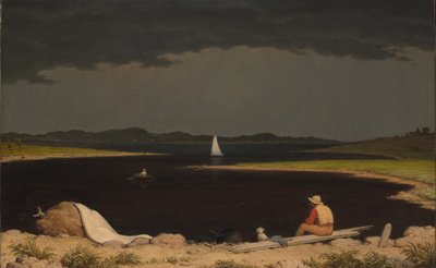 Naderende Onweersbui door Martin Johnson Heade