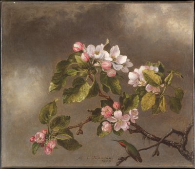  door Martin Johnson Heade