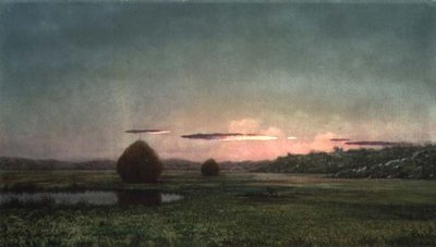 Moerassen door Martin Johnson Heade