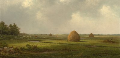 Uitzicht op Marshfield door Martin Johnson Heade