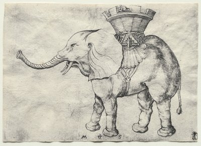 Een Olifant met Howdah door Martin Schongauer
