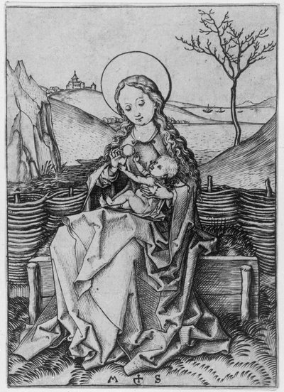  door Martin Schongauer