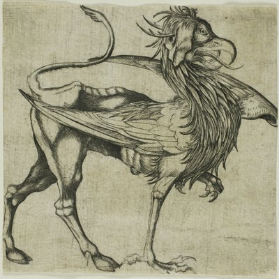 De Griffioen door Martin Schongauer