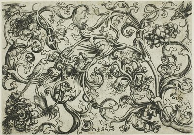 Ornament van wijnranken met papegaaien en vogels door Martin Schongauer