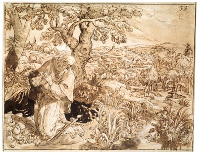 Een kluizenaar, 1585-1586 door Maarten de Vos