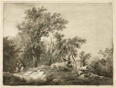 De omgevallen boomstam door Martin von Molitor