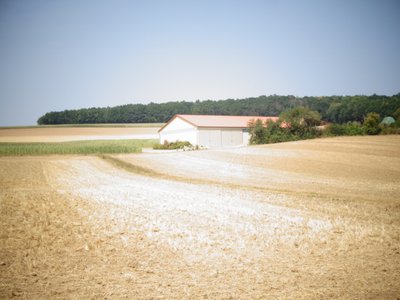Zomer door Martina Konitzky